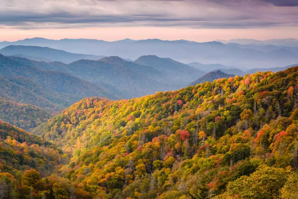 Top 4 Things to Know About the Fall Foliage in the Smoky Mountains