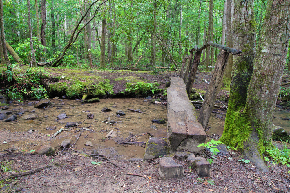 footbridge on Cades Cove trail