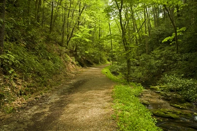 Schoolhouse Gap Trail