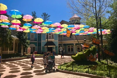 Umbrellas Flower & Food Dollywood