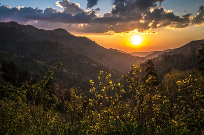 sunrise in Smokies