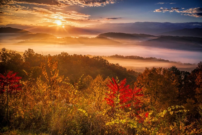 shutterstock_2467421593 (1)