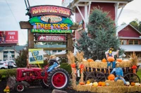 Adventure Park at Five Oaks fall