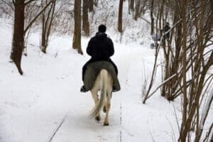 horseback riding in snow