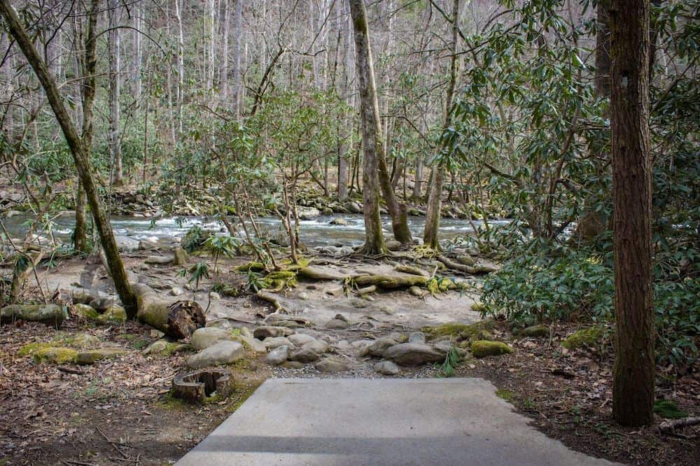 4 of the Best Hikes in the Smoky Mountains for Families