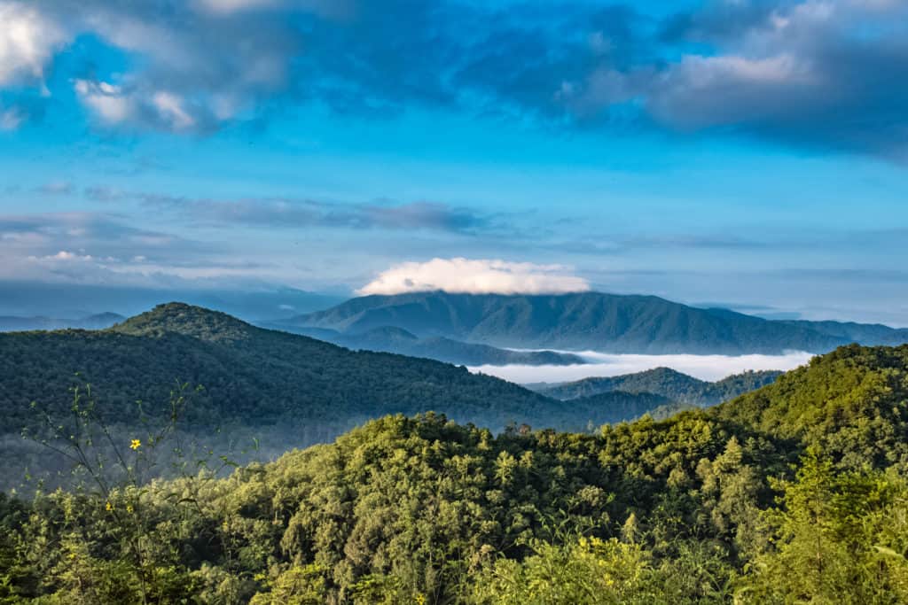 4 Interesting Facts About Smoky Mountain History You Should Know